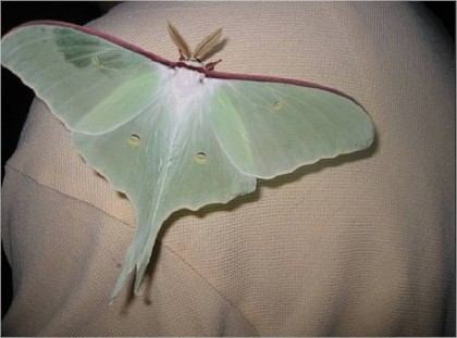 2011-06-14_15,24,01.jpg
