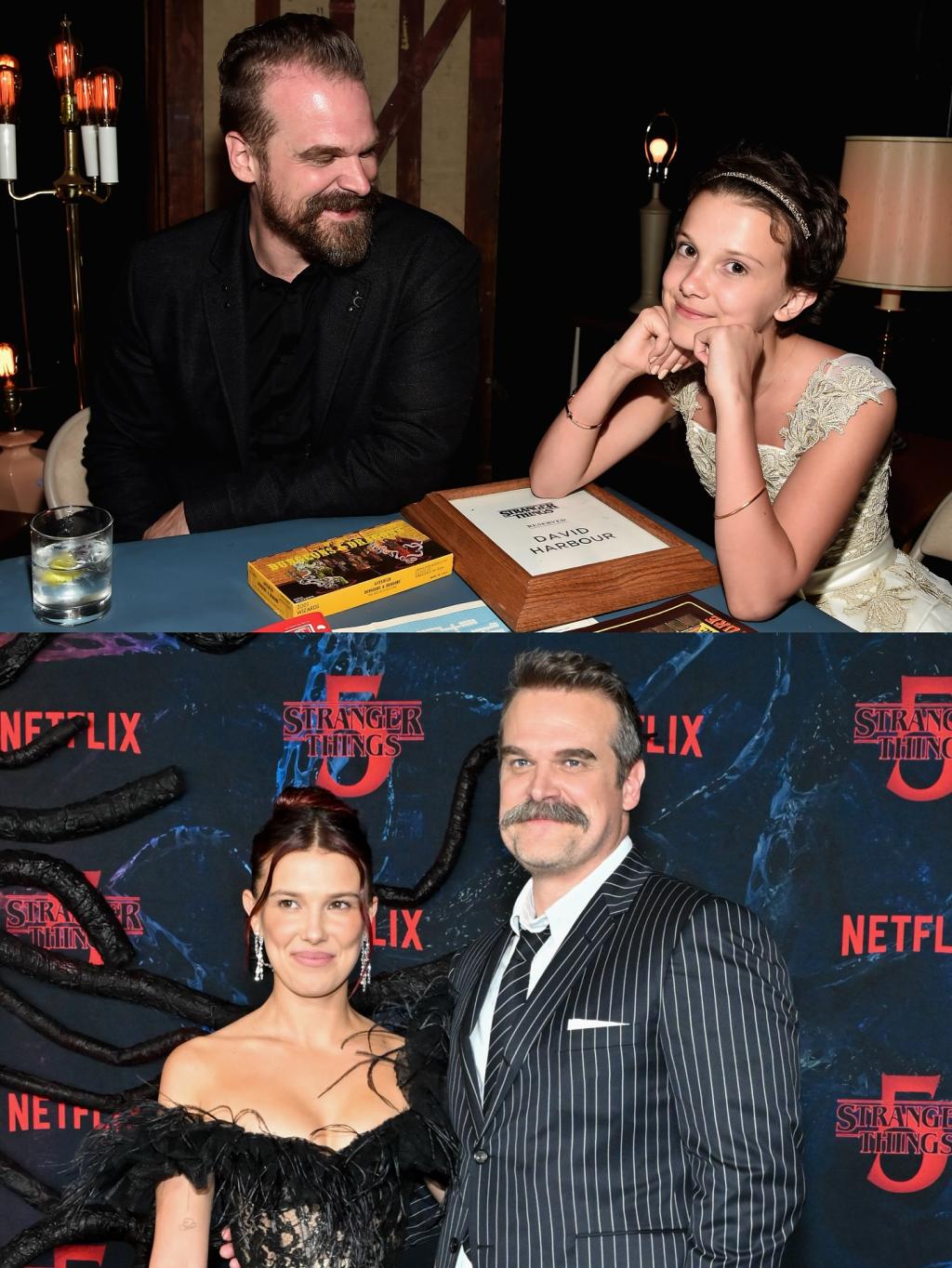 [image] - 7972391.jpg