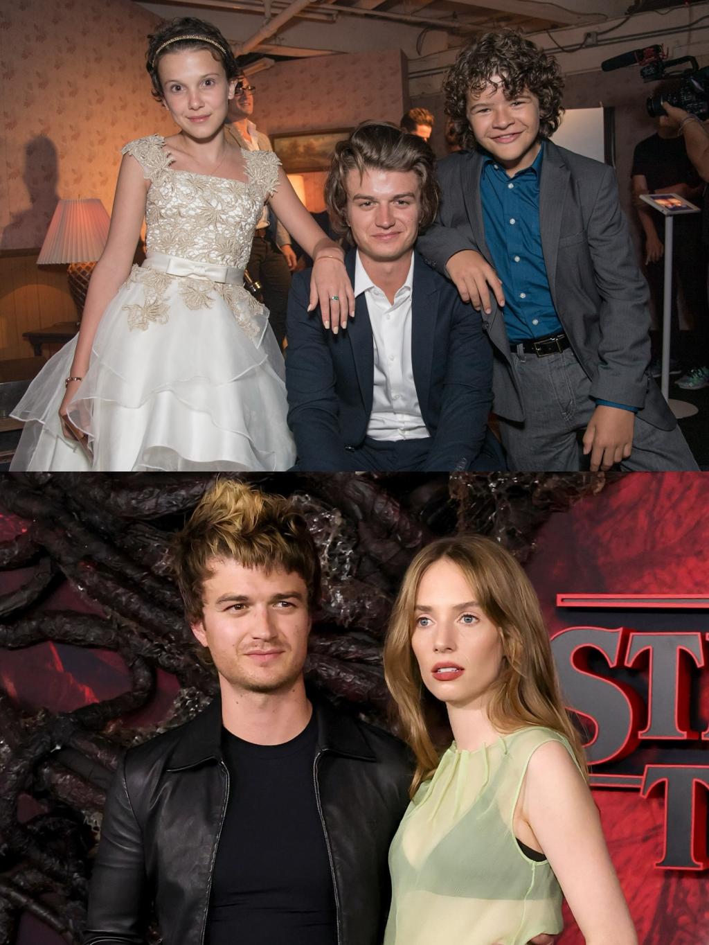 [image] - 6725878.jpg