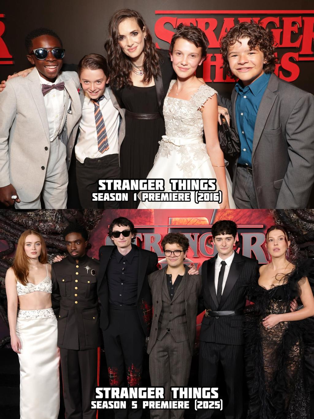 [image] - 7830508.jpg