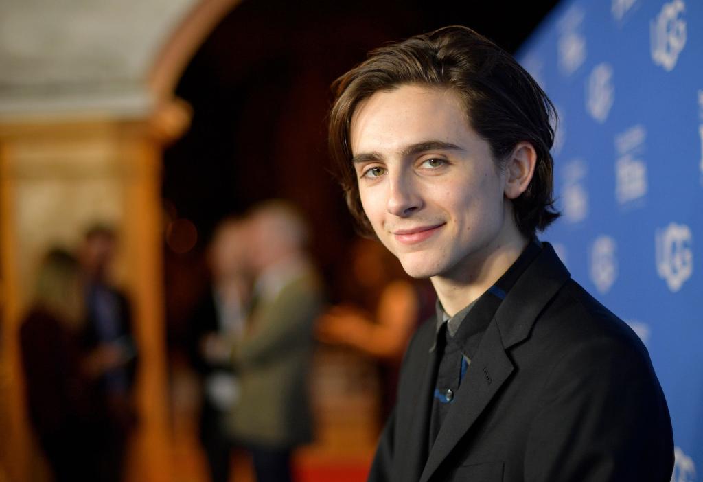 338-3385053_timothee-chalamet-desktop-wallpaper-timothe-chalamet-santa-barbara.jpg