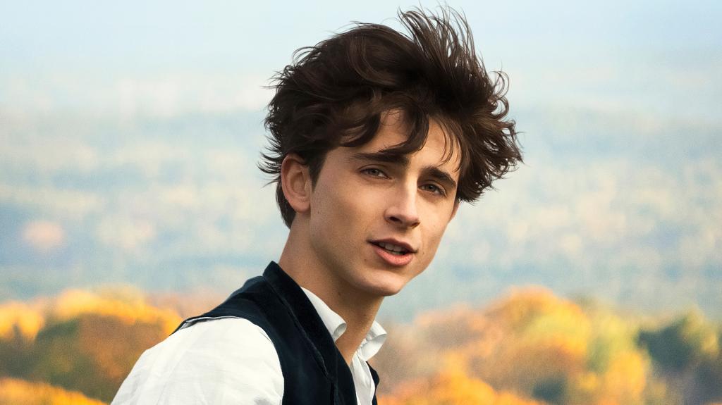 timothee-chalamet-in-little-women-h2.jpg