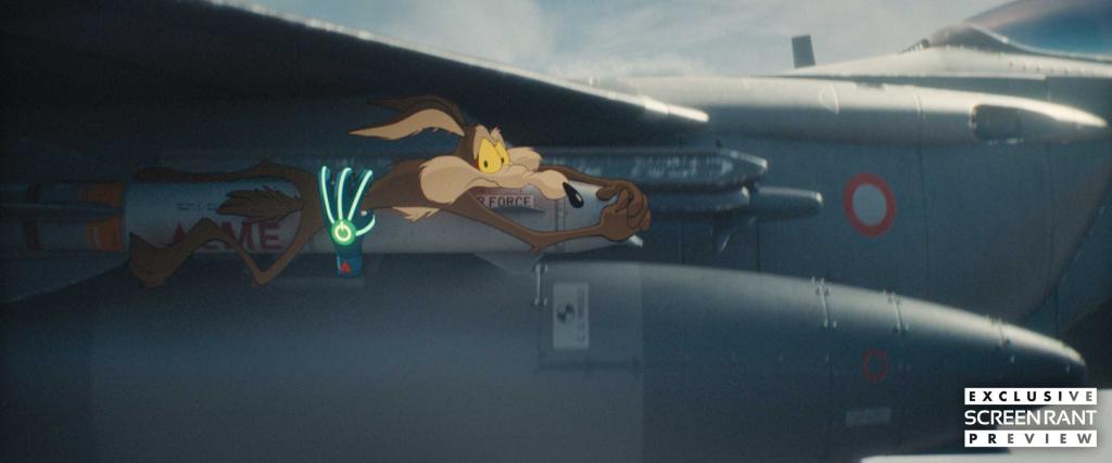 coyote-vs-acme-1.jpg