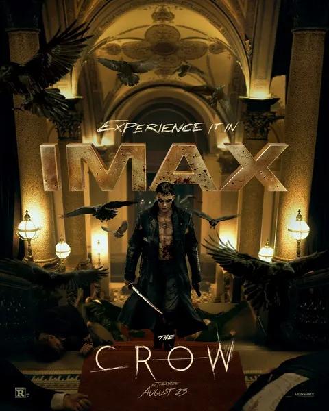 imax-crow.webp.jpg