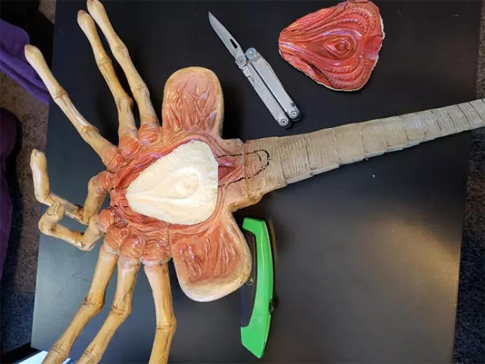 man-alien-facehugger-mask-5c51bf0c1b0fe-png_700.jpg