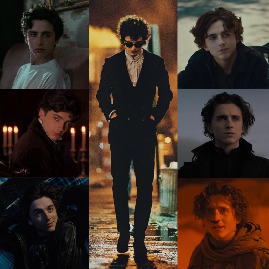 Timothée Chalamet has starred in seven films nomin.jpg