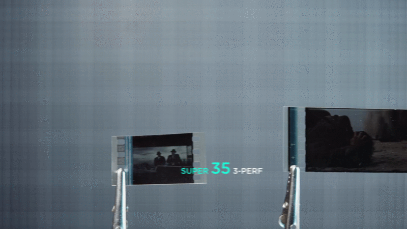 GIF1.gif