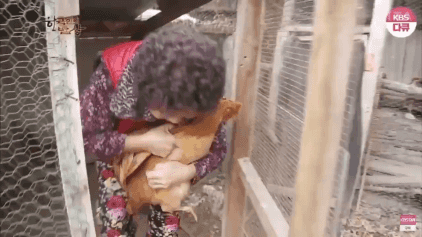 1.gif