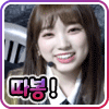 icon_14.gif