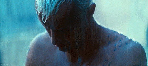 12.gif