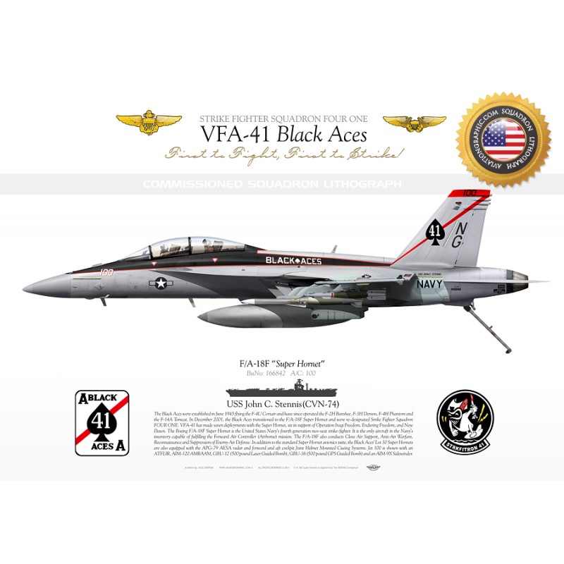 fa-18f-vfa-41-black-aces-cag-2013-jp-1183c.jpg