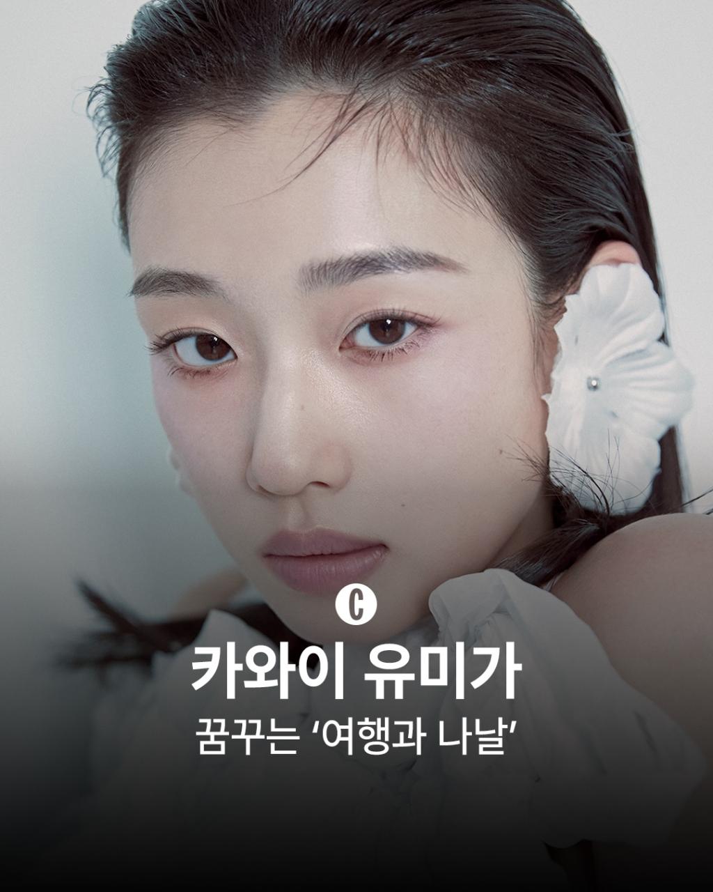 [image] - 6645875.jpg