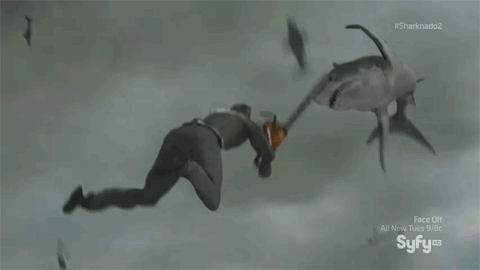 1309E8C7-0CC1-4EC6-99EF-8DFA80A28963.gif