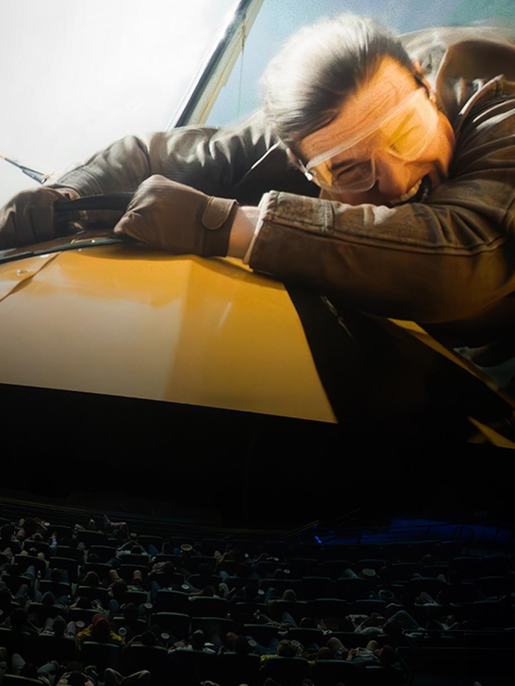 [image] - 8610233.jpg