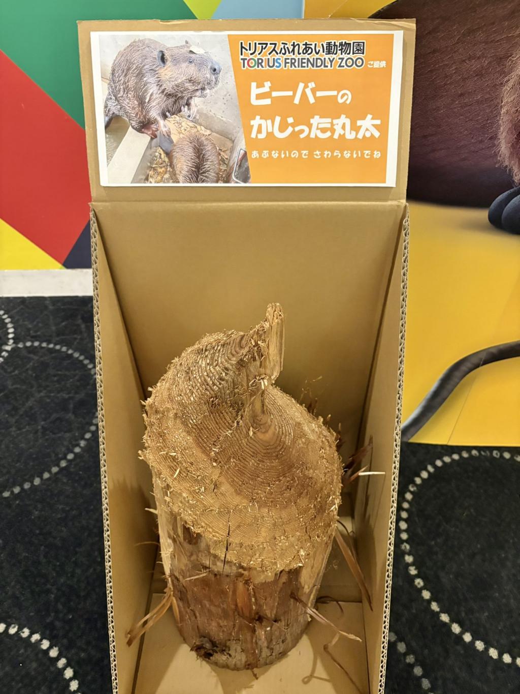 KakaoTalk_20260314_143219359.jpg