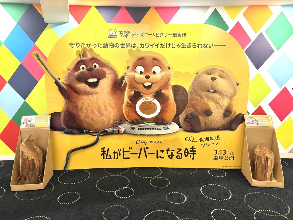 KakaoTalk_20260314_143219359_02.jpg