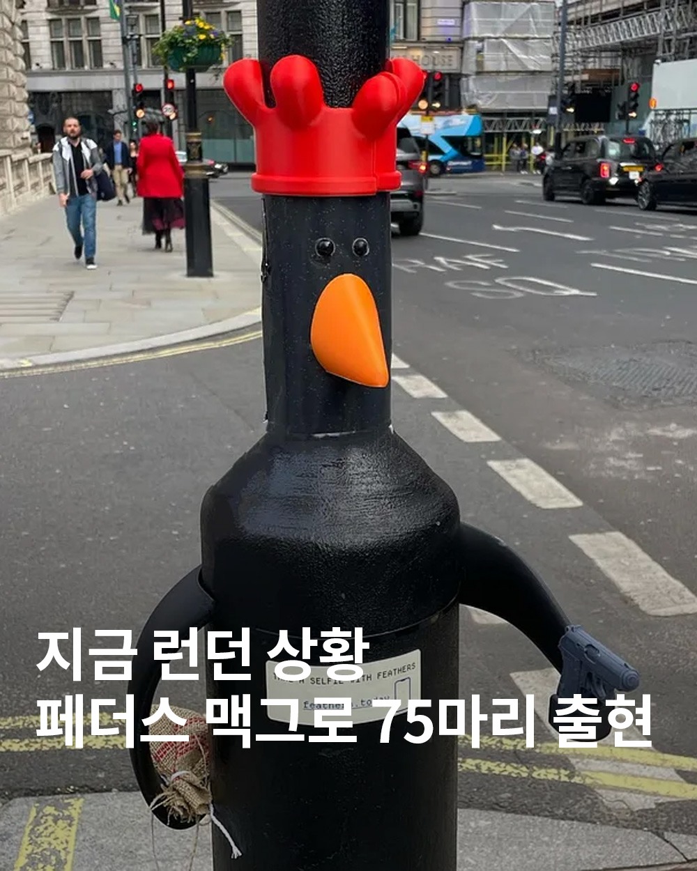 [image] - 169459.jpg