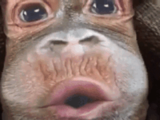 SmartSelect_20211101-201916_Gallery.gif