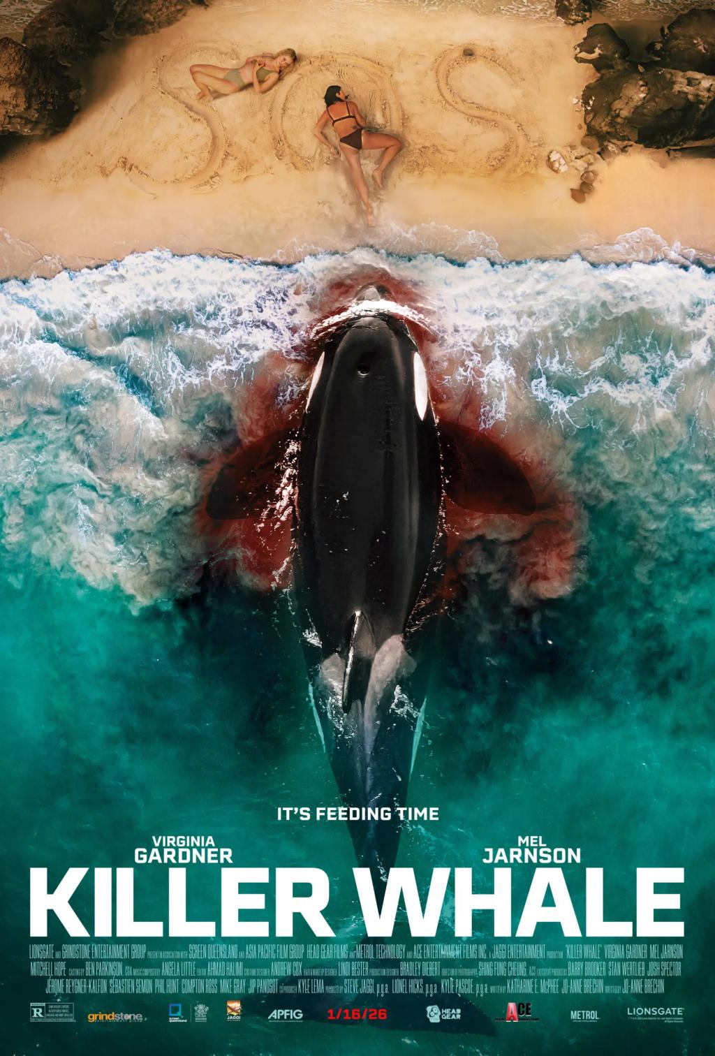 Killer-Whale_Date-2-12.9-scaled.webp.jpg