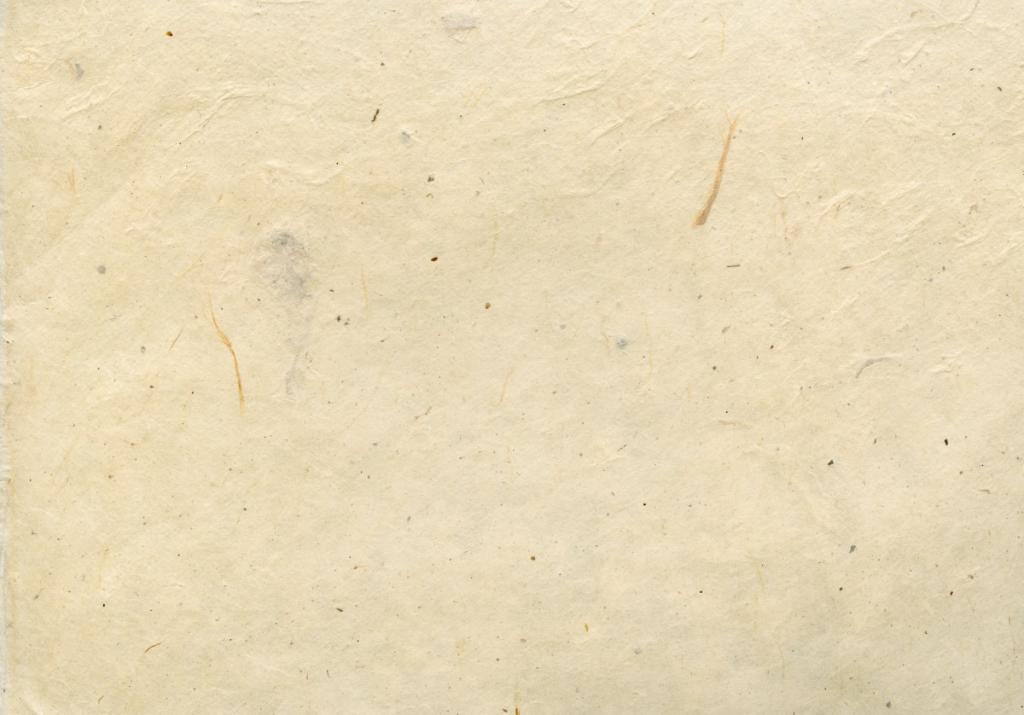 paper_white_grey_handmade_handmade_paper_texture_papyrus_parchment-1412534.jpeg.jpg