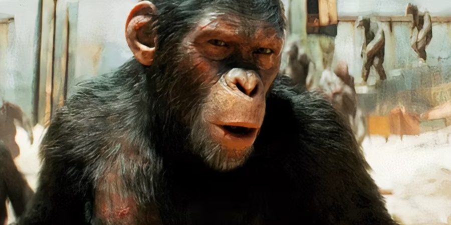 m1kingdom-of-the-planet-of-the-apes-scar-noa.jpg