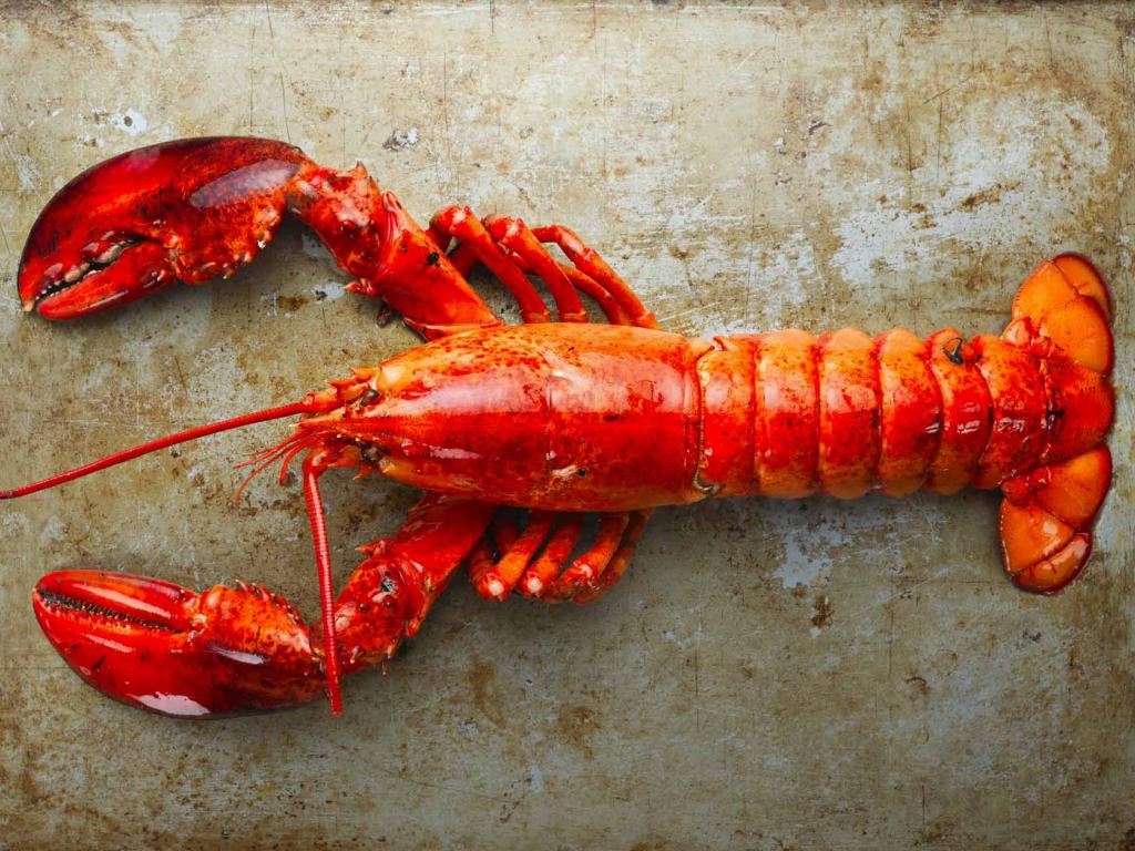NA-lobster-cooked-shot-3.jpg