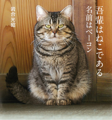 500_131307.jpg
