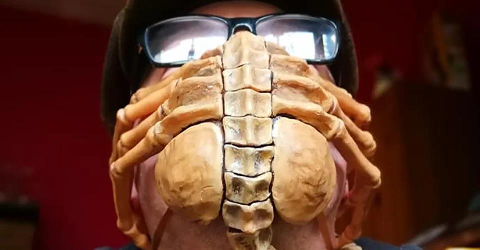 Facehugger-Mask-6-1.png.jpg