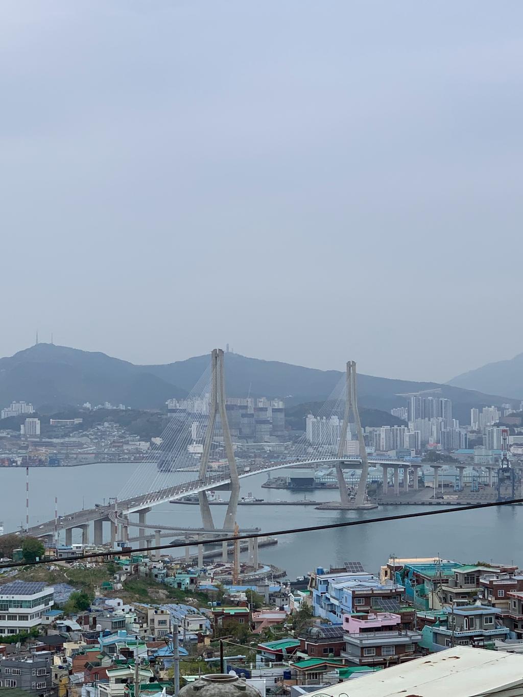 UD_bogummy_3657807861716460388_58355571164_2025_ 6_ 21_.jpg