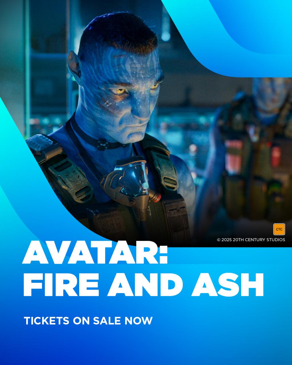 [image] - 7226669.jpg