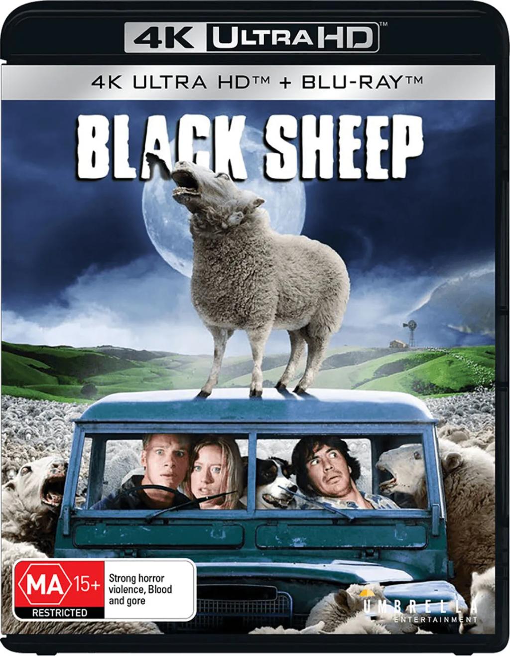 BlackSheep_4kFront_9e66dac0-5d8c-44aa-815b-780c0cb3a5d3_7000x-copy.webp.jpg