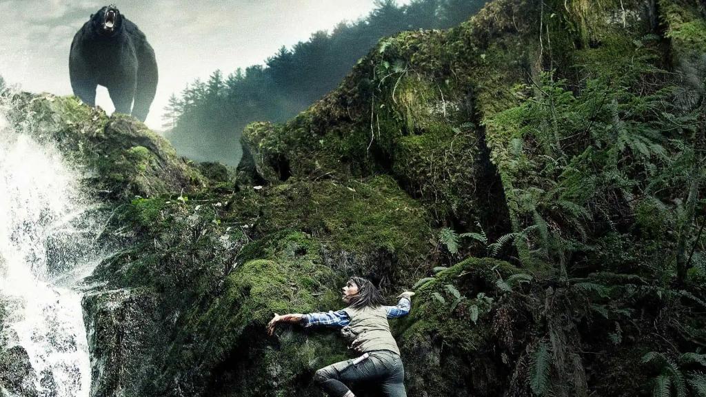Backcountry.webp.jpg
