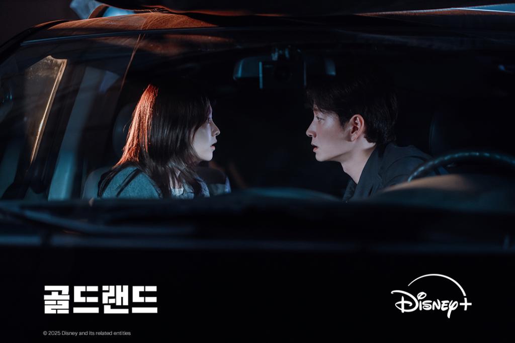 [image] - 8695685.jpg