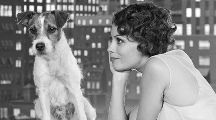 uggie-the-artist.jpg