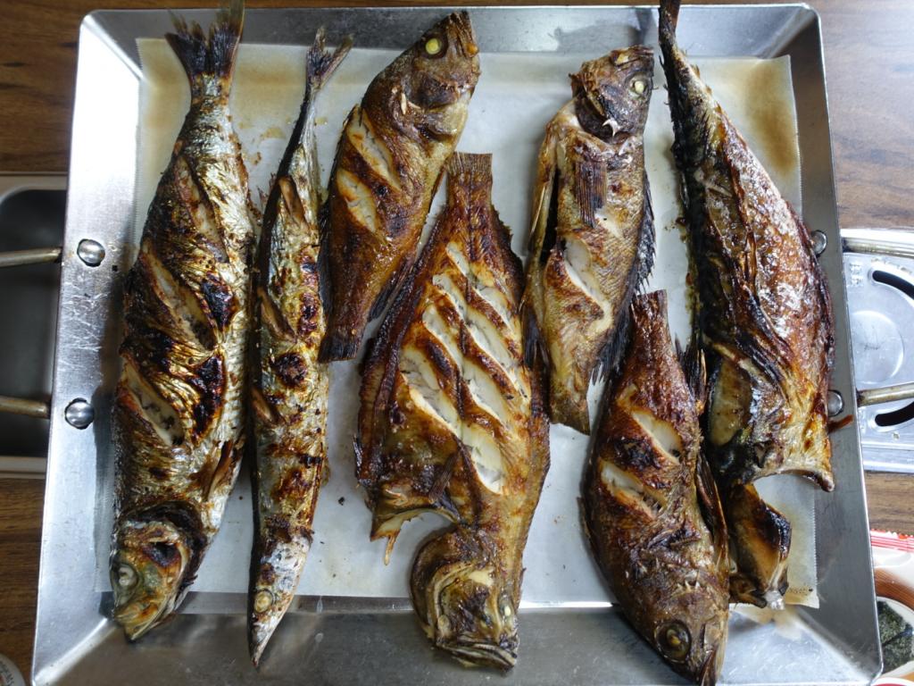 익스트림무비 - [평창영화제] 쿨스투어 동해편- 생선구이맛집