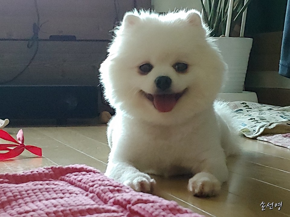 익스트림무비 - 와우. 에어콘 틀었어요.