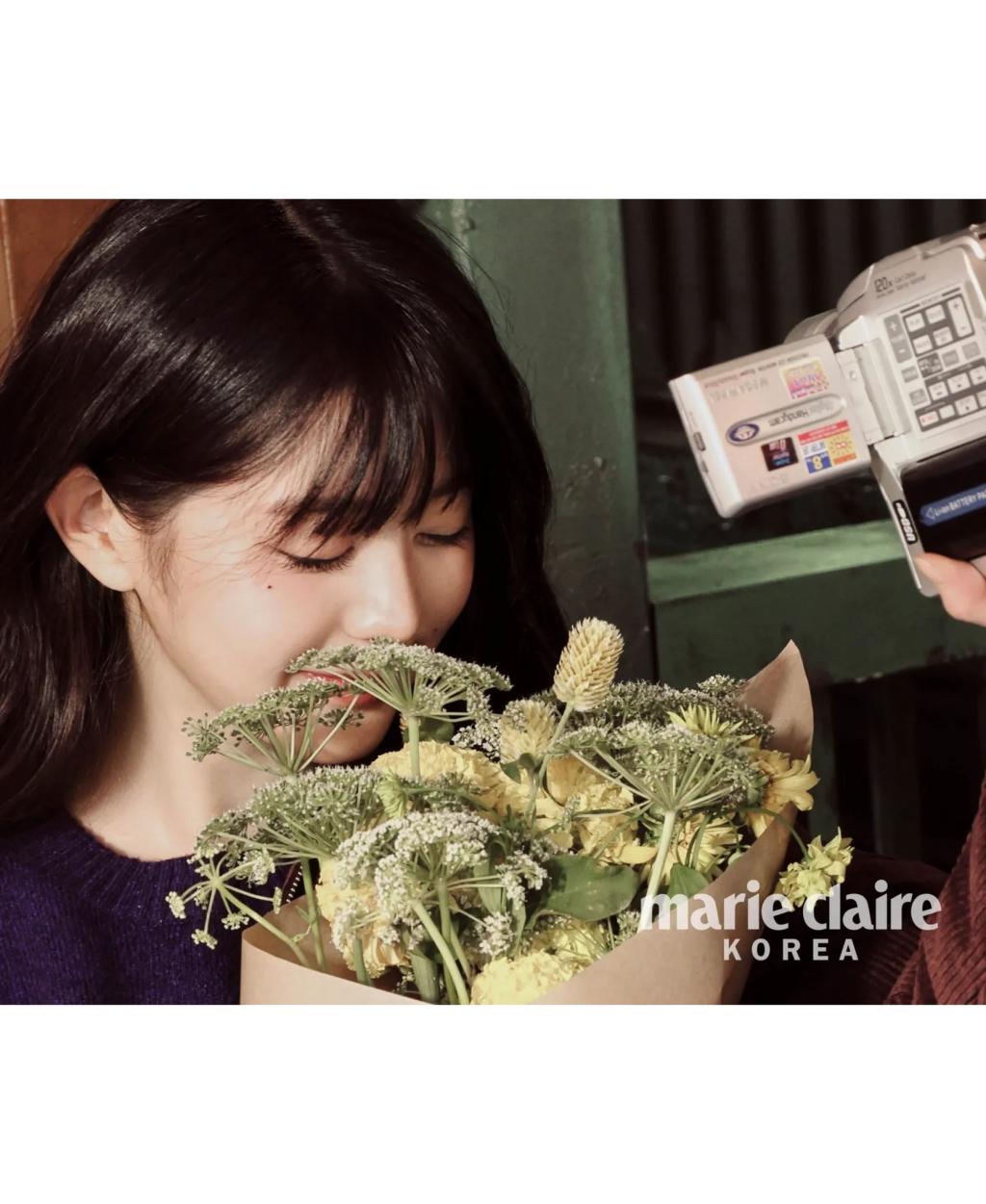 [image] - 5264007.jpg