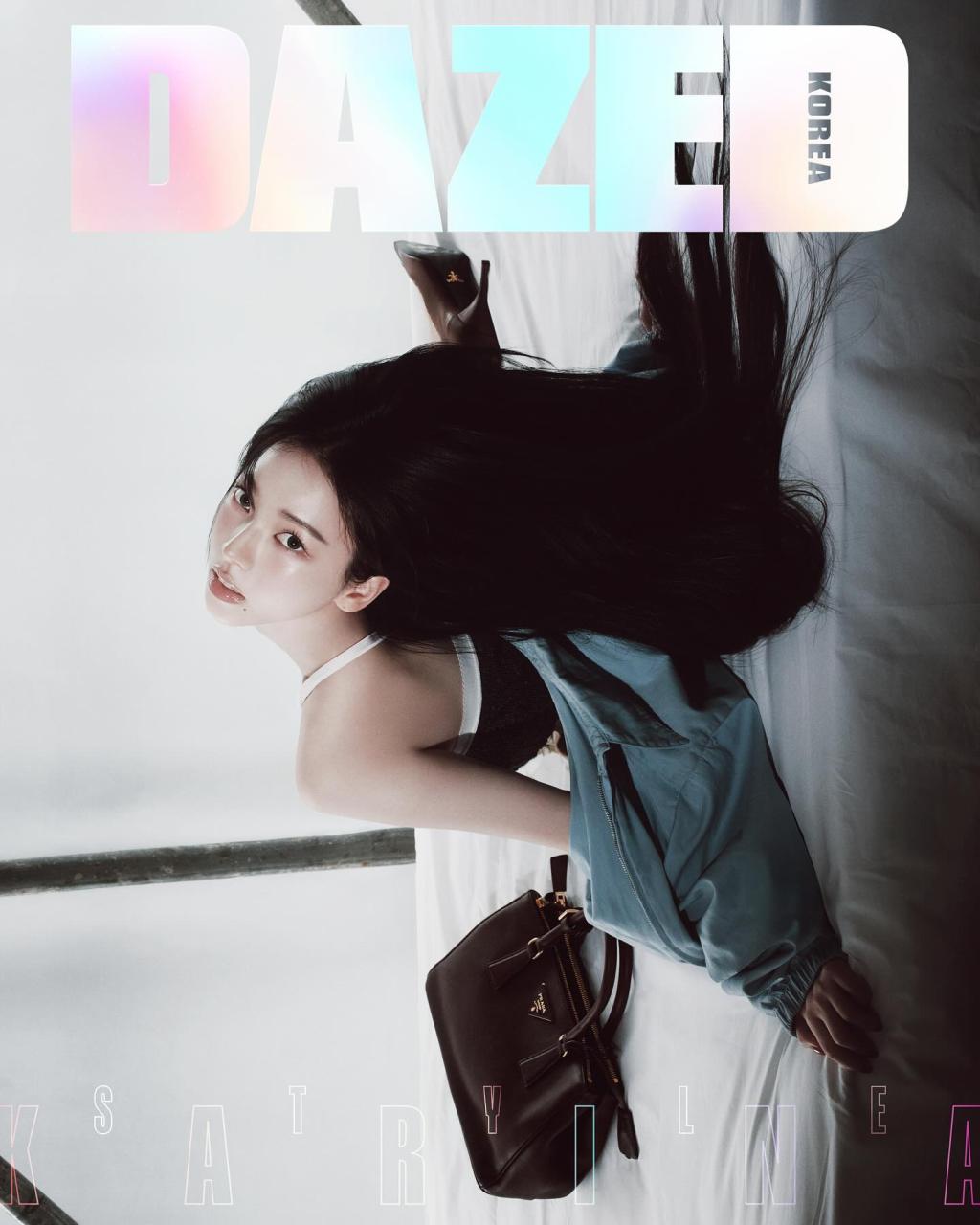 [image] - 6565467.jpg