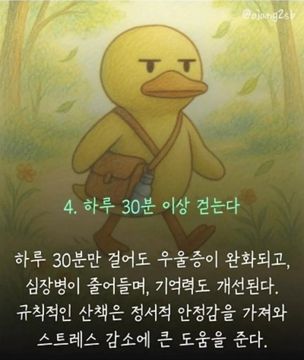 04.jpg