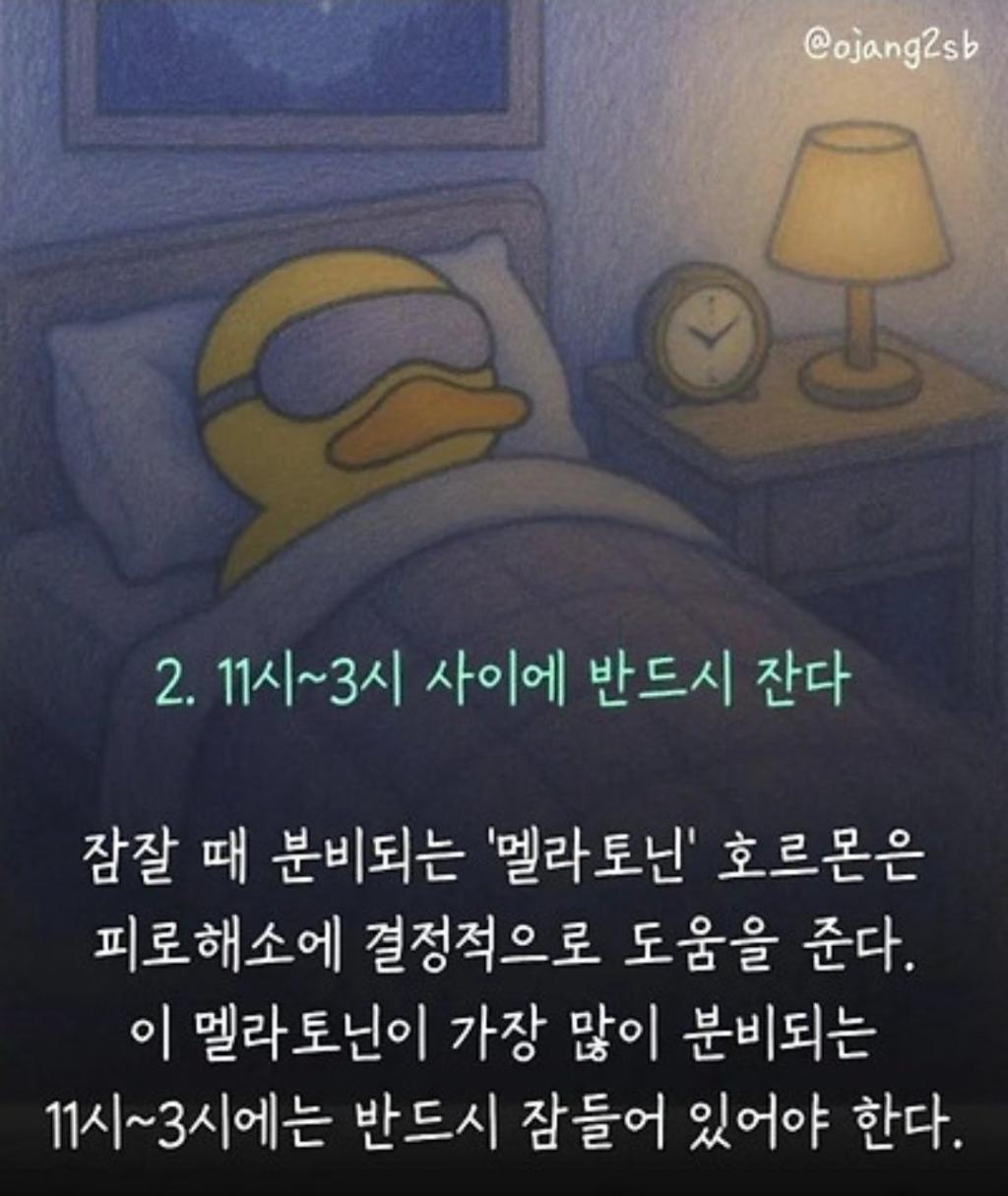 02.jpg
