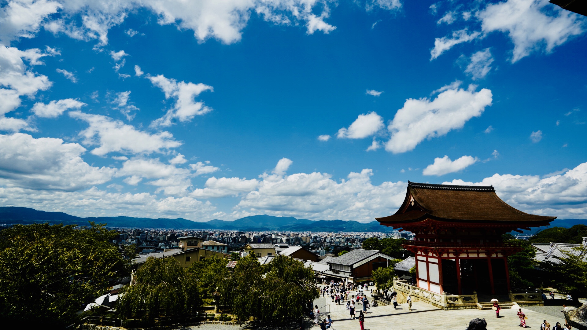 C19C4F05-75B1-462D-A4CE-C8442C5EF8D6.jpeg