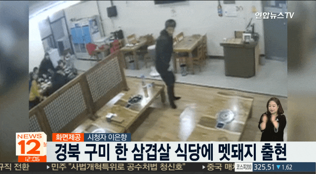 17883cafebe4f003d (1).gif