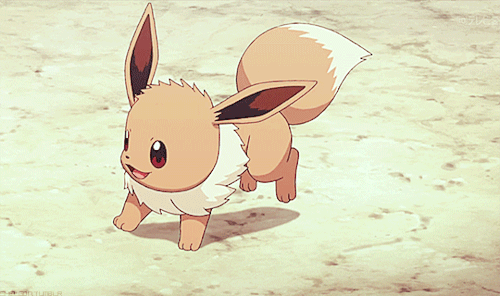 344D5C50-6BB4-469F-B6AF-F73F30828037.gif