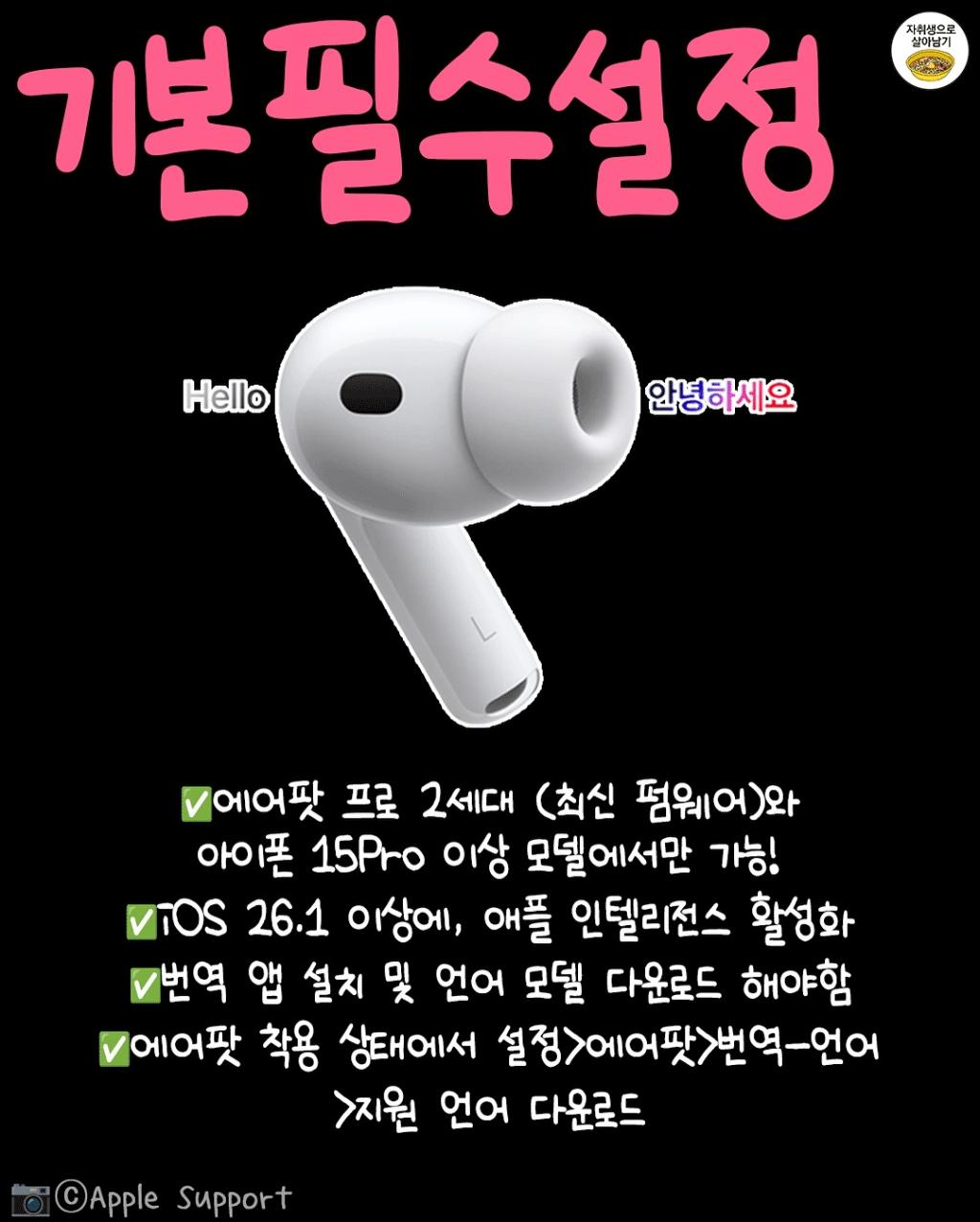 [image] - 6181472.jpg