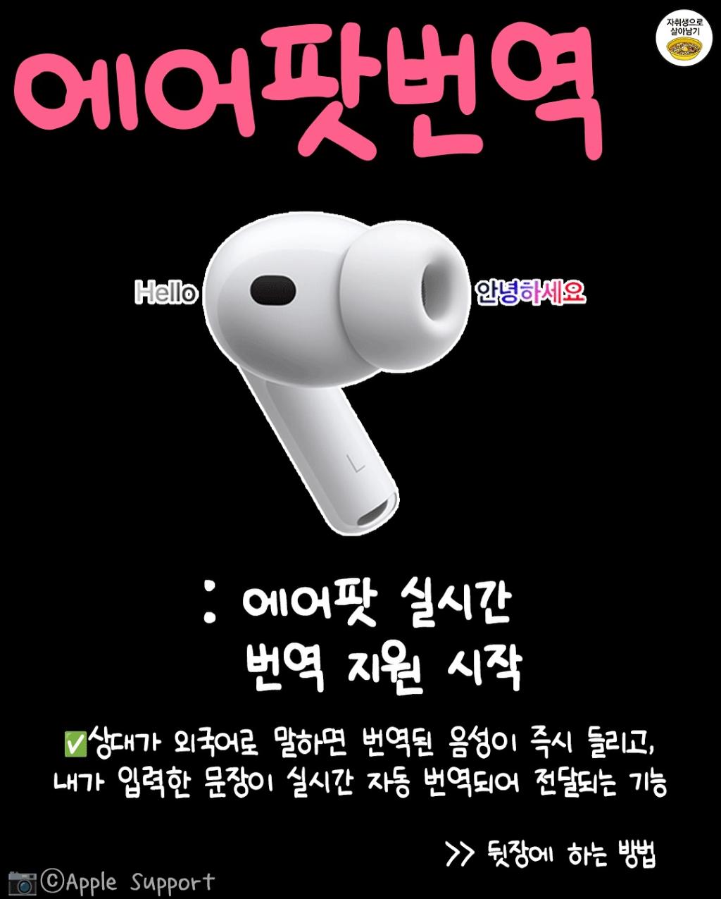 [image] - 2375870.jpg