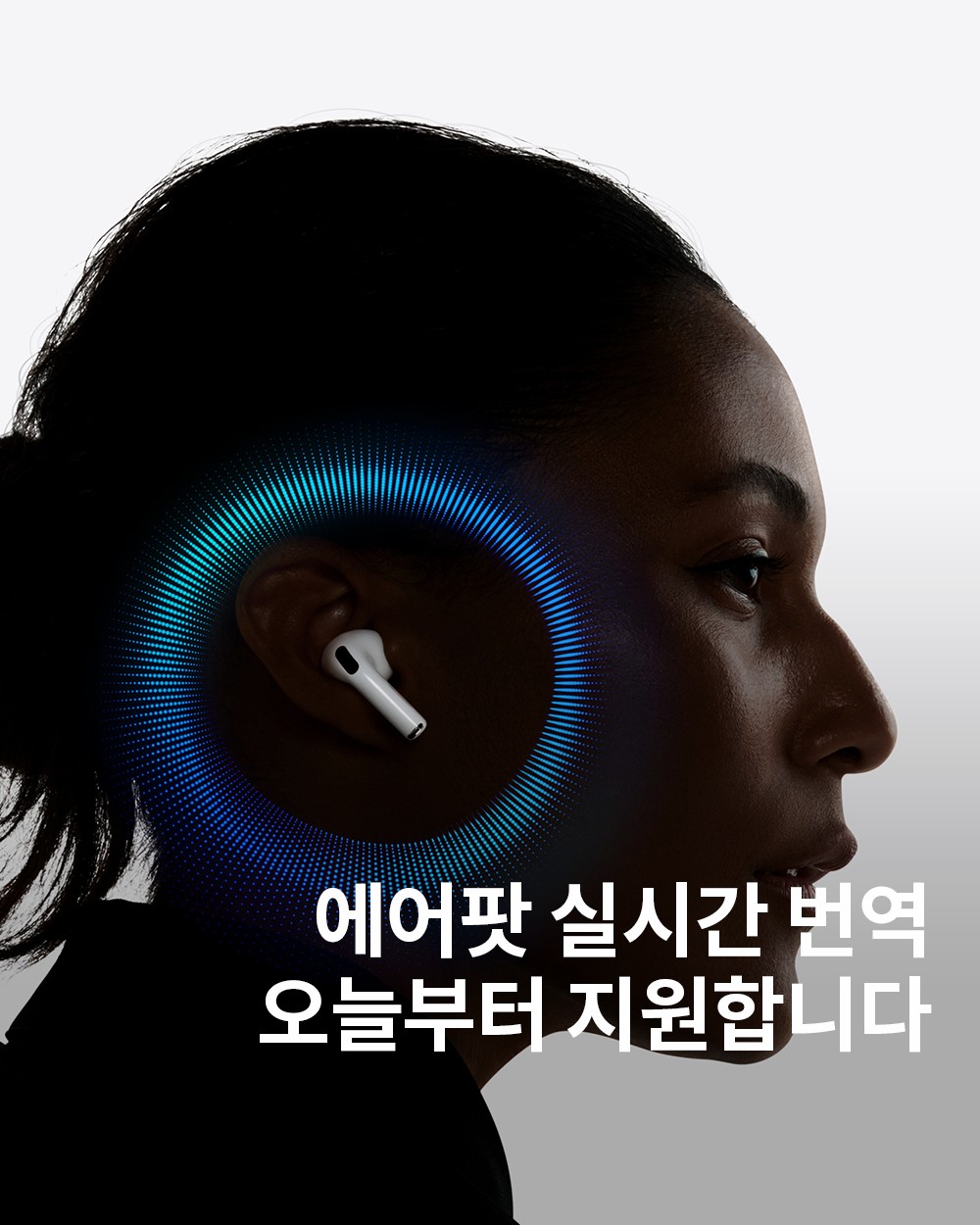 [image] - 3751665.jpg