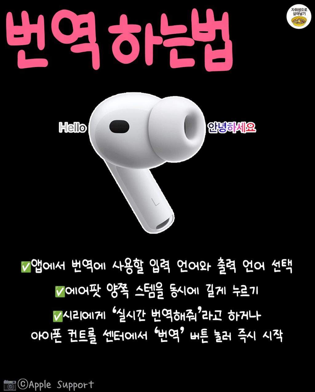 [image] - 2435346.jpg