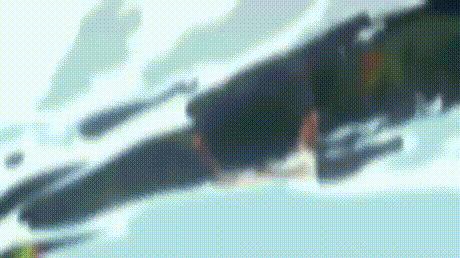 ef34a52a44b81da3f42bd7b9edd65793.gif