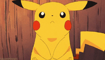988C03D7-CC5C-425D-98B3-D7EE252B40BD.gif
