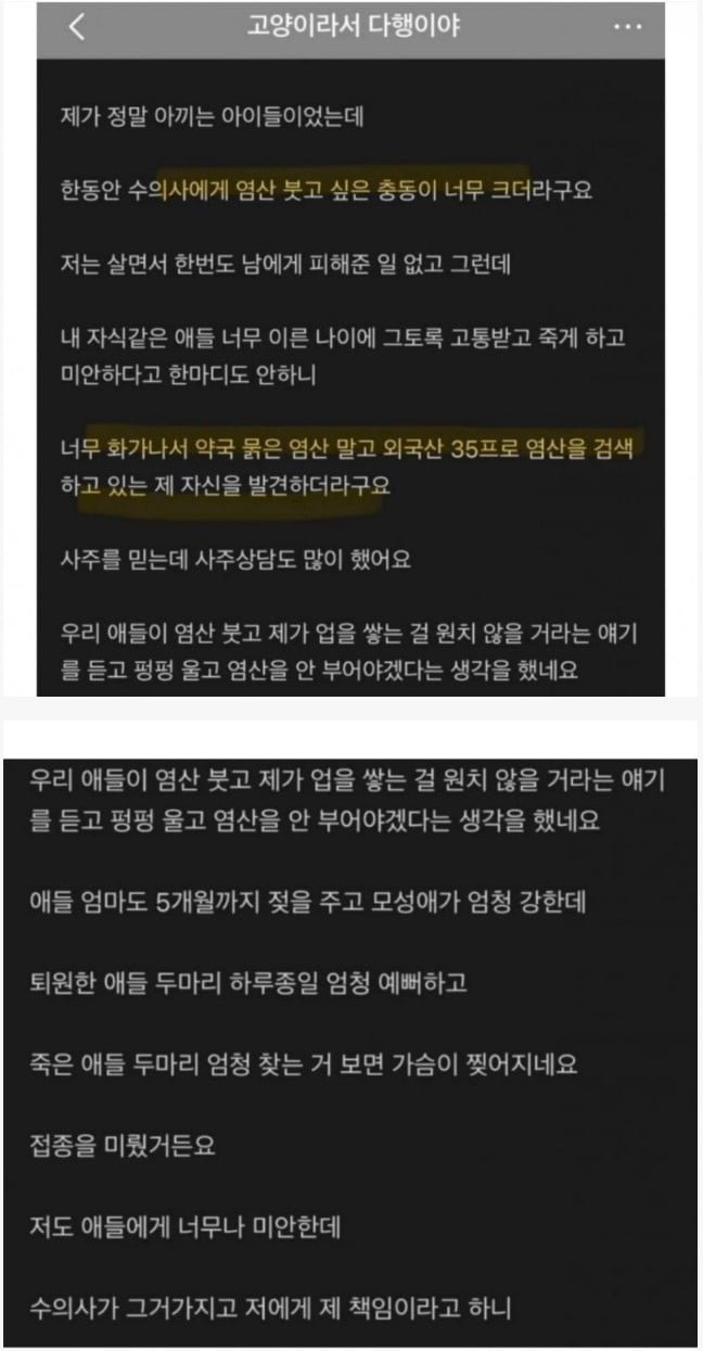 064001517202501236ca5fe7e-03bb-463e-a0aa-6116769a3784 (1).jpeg